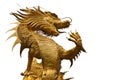 Dragon image Royalty Free Stock Photo