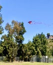 Dragon Kite Flying High Royalty Free Stock Photo