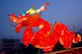 Dragon lantern