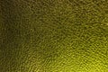 Dragon leather background, green Royalty Free Stock Photo