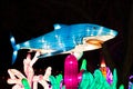 Dragon Lights Albuquerque, Great White Shark Silk lantern celebrates the Chinese New Year Royalty Free Stock Photo