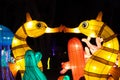 Dragon Lights Albuquerque, Sea horses Silk lantern celebrates the Chinese New Year Royalty Free Stock Photo