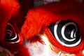 Dragon lion dance eye