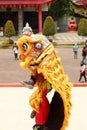 Dragon and lion dance show (barongsai) in chinese new year festival Royalty Free Stock Photo