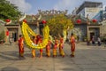 SAIGON, VIETNAM - FEB 15, 2018 - Dragon and lion dance show in chinese new year festival. Royalty Free Stock Photo