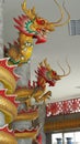 Dragon, a magical animal known in Chinese and Western literature