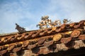 dragon on the roof tile - Hue Vietnam