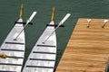 Dragon Rowing Boats Royalty Free Stock Photo