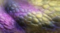 Shimmering Dragon Scales Reveal Intricate Textures and Vibrant Colors Under Soft Light Royalty Free Stock Photo