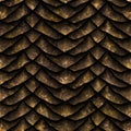 Dragon scales seamless texture Royalty Free Stock Photo
