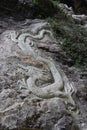 dragon sculpture on the wall at three Natural Bridges, Chongqing, China Royalty Free Stock Photo