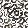 Dragon Serpent Pattern - Mythical Creatures in Seamless Design Royalty Free Stock Photo