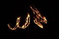 Dragon silhouette in fire