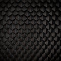 Dragon Skin Royalty Free Stock Photo