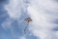 Wind kite Royalty Free Stock Photo