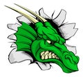 Dragon sports mascot breakthrough