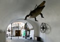 Dragon - symbol of the city, Old Town hall, town Brno, Moravia,