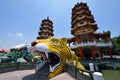 Dragon and Tiger Pagodas Royalty Free Stock Photo