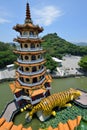 Dragon and Tiger Pagodas