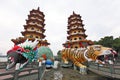 Dragon Tiger Tower