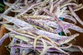 Dragon Tongue Beans Royalty Free Stock Photo