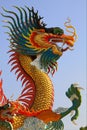 Dragon Royalty Free Stock Photo