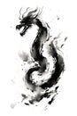 Dragon watercolor painting with black ink on white background traditional Chinese style. Mythical creatures, Ancient animals. Royalty Free Stock Photo