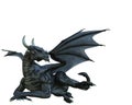Black dragon in a white background Royalty Free Stock Photo