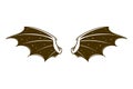 Dragon wing vector illustration