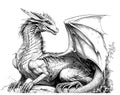 Dragon with wings sketch hand drawn sketch, engraving style Royalty Free Stock Photo