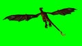 Dragon wywern in the glide - rear view - green screen