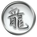 Dragon Zodiac icon grey