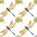 Dragonflies and snails watercolor illustrations isolated on white background. Seamless pattern.