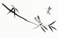 Dragonflies and twig are hand drawn on paper Royalty Free Stock Photo