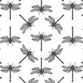 Seamless pattern with hand drawn dargonfly. Vector insects sketch collection. Vinatge spring background. Pastel colored.