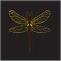 Dragonfly insect with yellow wings Royalty Free Stock Photo