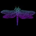 Dragonfly, beautiful winged insect, bright blue violet color out