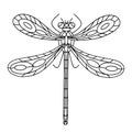 Dragonfly Beetle-Insect coloring book.illustration Royalty Free Stock Photo