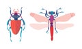 Dragonfly and Beetle Insects as Hexapod Flying Creature with Jointed Legs and Pair of Antennae Vector Set