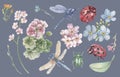 Dragonfly beetle ladybug insects and flowers geranium and forget-me-nots beautiful spring clipart hand drawn watercolor set separa