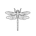 Dragonfly clipart vector