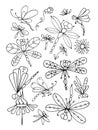 Dragonfly collection, sketch for your design Royalty Free Stock Photo