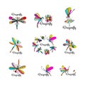 Dragonfly collection, sketch for your design Royalty Free Stock Photo