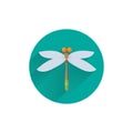 dragonfly colorful flat icon with long shadow.