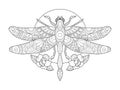 Dragonfly coloring book for adults vector