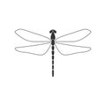 Dragonfly concept. Black dragonfly with linear wings on white background. Flat design. Silhouette icon. Vector illustration Royalty Free Stock Photo