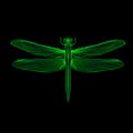 Dragonfly. 3d style vector illustration for print