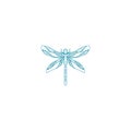 Dragonfly with detailed wings isolated on white background Royalty Free Stock Photo