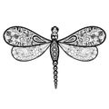 Dragonfly doodle Royalty Free Stock Photo
