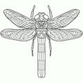 Dragonfly drawn on a white background for coloring, vector, coloring book Royalty Free Stock Photo